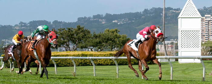 Horse Race at Golden Gate Fields