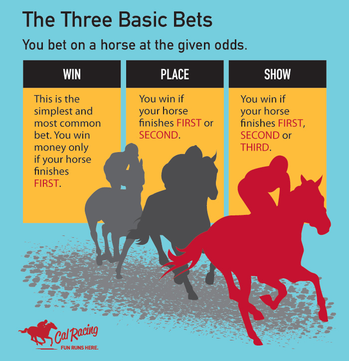 Horse Betting Terms