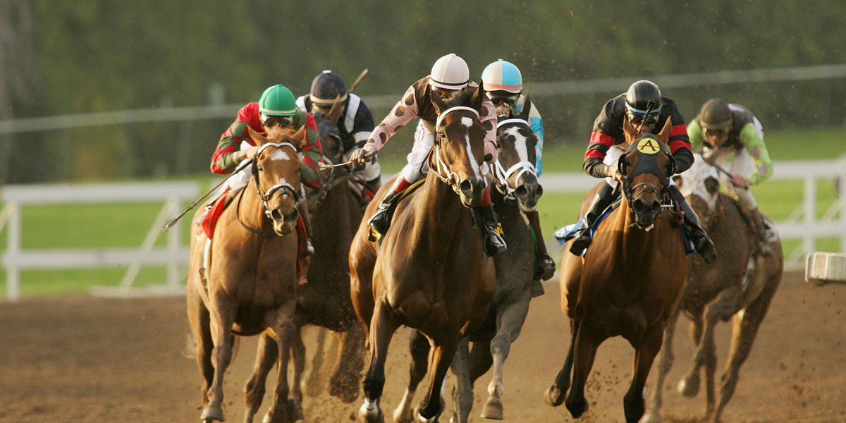 loja california racing centro