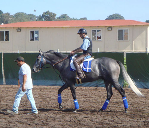 California Thoroughbred Trainers License