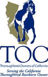 TOC Logo